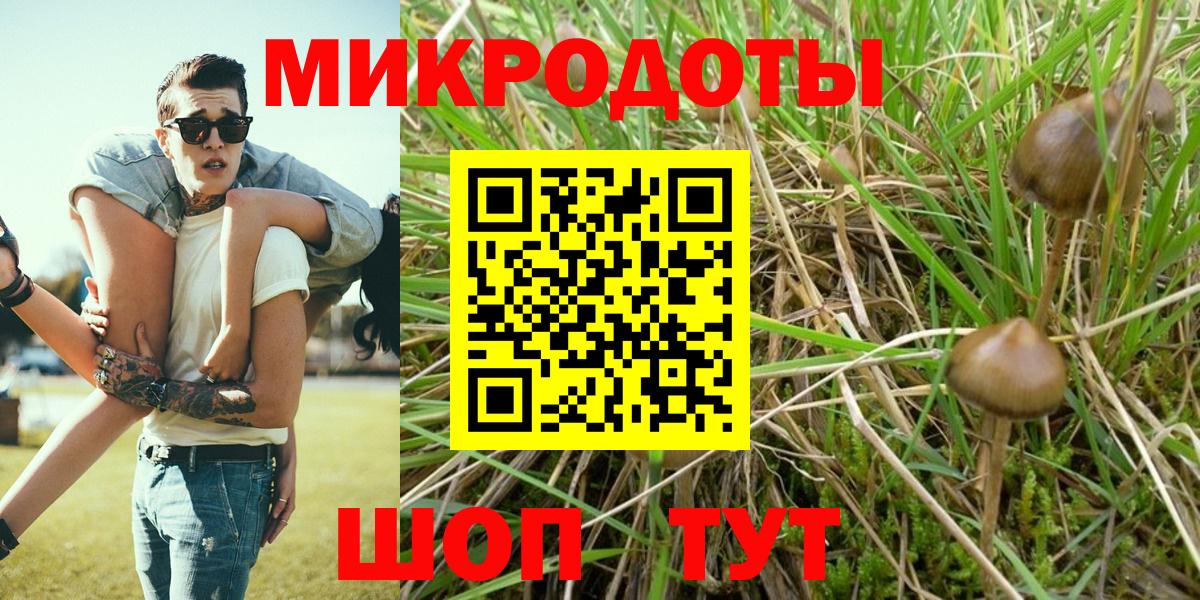 Псилоцибиновые грибы прущие грибы  Вход с VPN  Ялта 